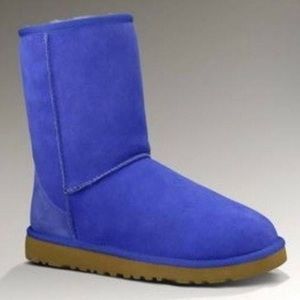 Periwinkle UGG